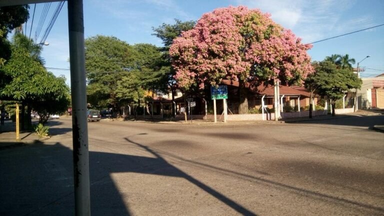 2211 comunidad el carmen 768x433