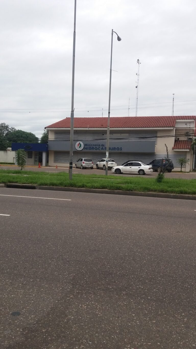 2232 ministerio de hidrocarburos 768x1365