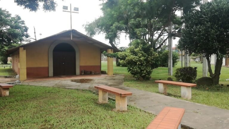 2255 maria reina del cielo 768x432