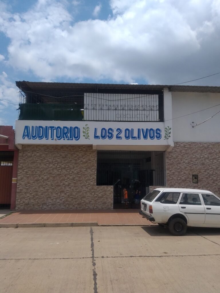 2471 iglesia evangelica los olivos 768x1024